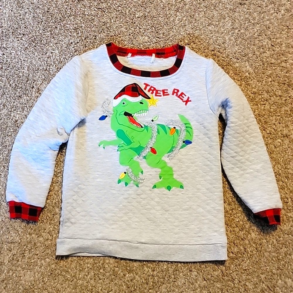 Boys Dinosaur Christmas shirt size 4t